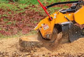 Tree and Shrub Care in Menasha, WI